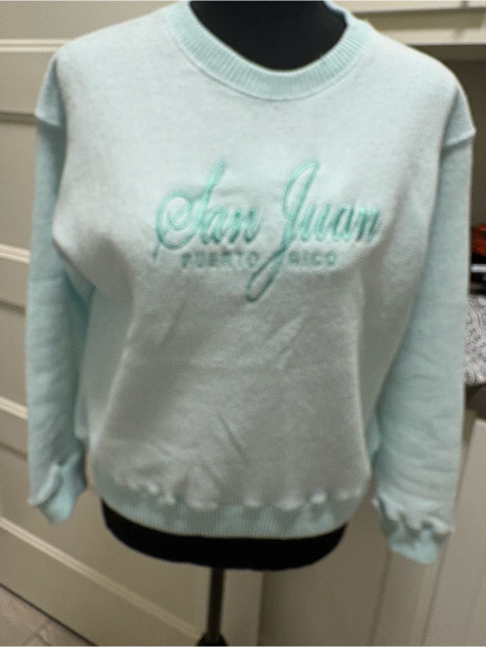 San Juan Embroidered Light Mint Crewneck Sweater